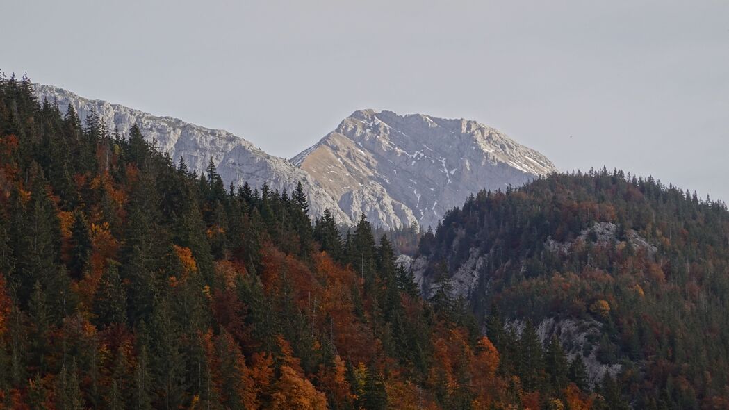 山脉 森林 树木 自然 景观 秋季 4k壁纸 3840x2160