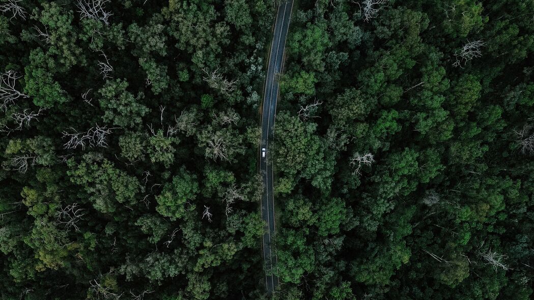 道路汽车森林鸟瞰，4K高清壁纸，3840x2160极致分辨率，畅享自然之美！