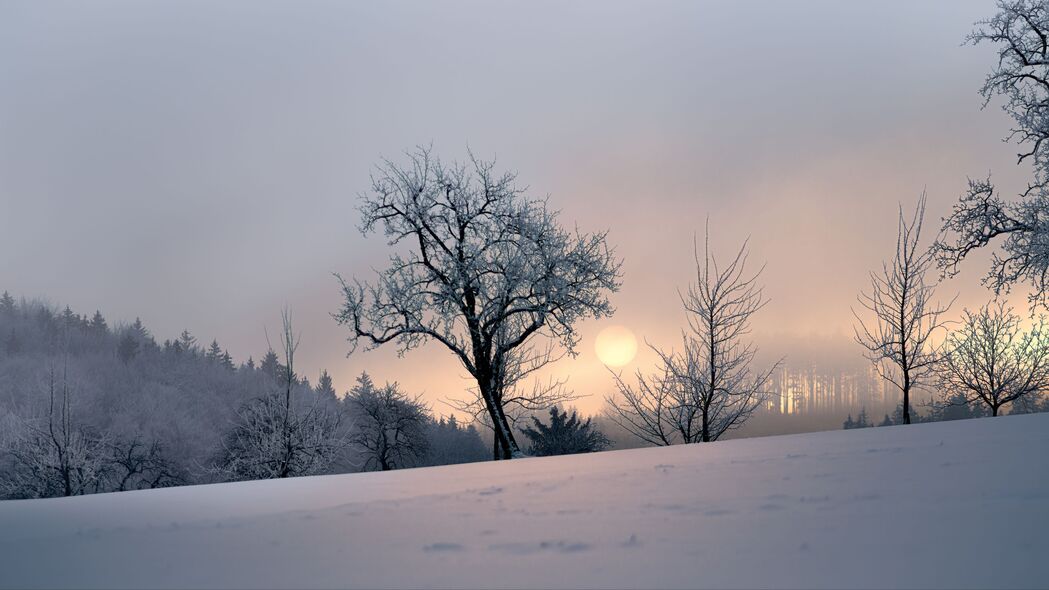 日落 树木 雪 冬天 晚上 自然 4k壁纸 3840x2160