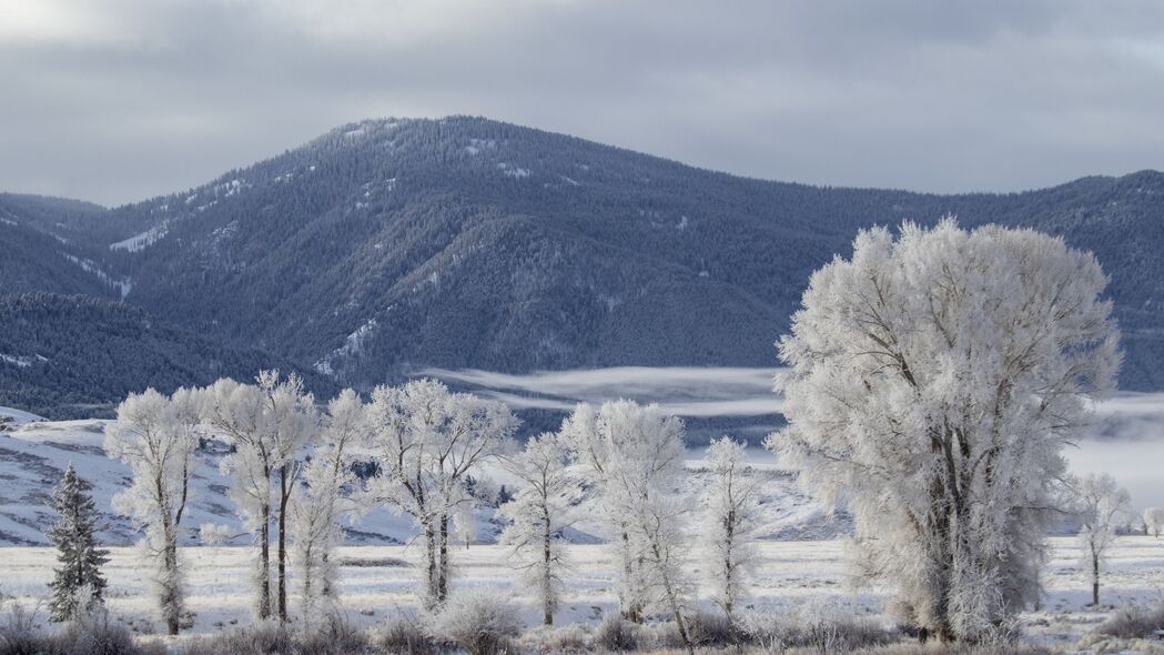 山 树 雪 冬天 风景 自然 4k壁纸 3840x2160