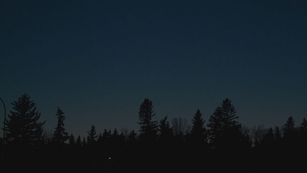 树 剪影 月亮 夜晚 深色 4k壁纸 3840x2160