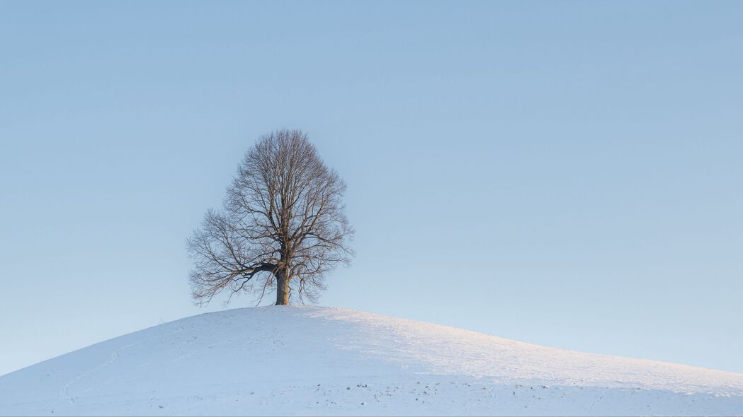 树 山 雪 冬天 风景 4k壁纸 3840x2160
