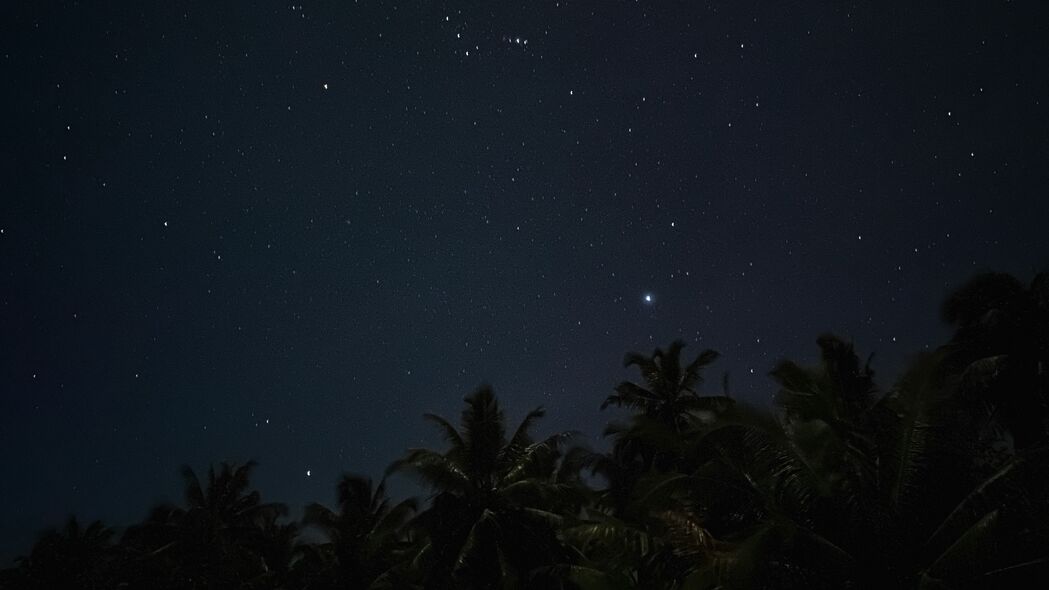 棕榈树 星空 夜晚 星星 深色 4k壁纸 3840x2160