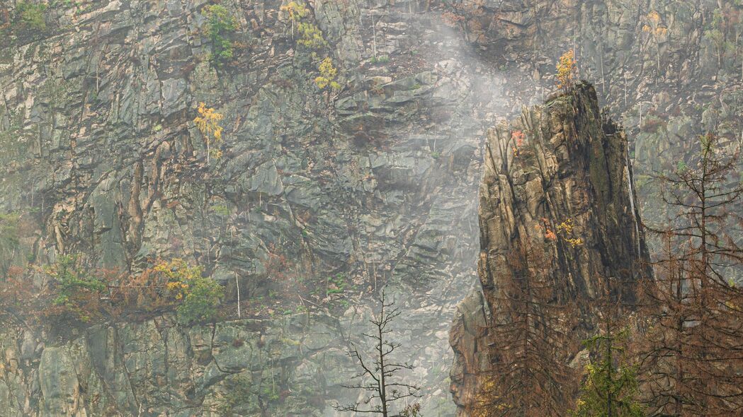 岩石 树木 雾 自然 4k壁纸 3840x2160