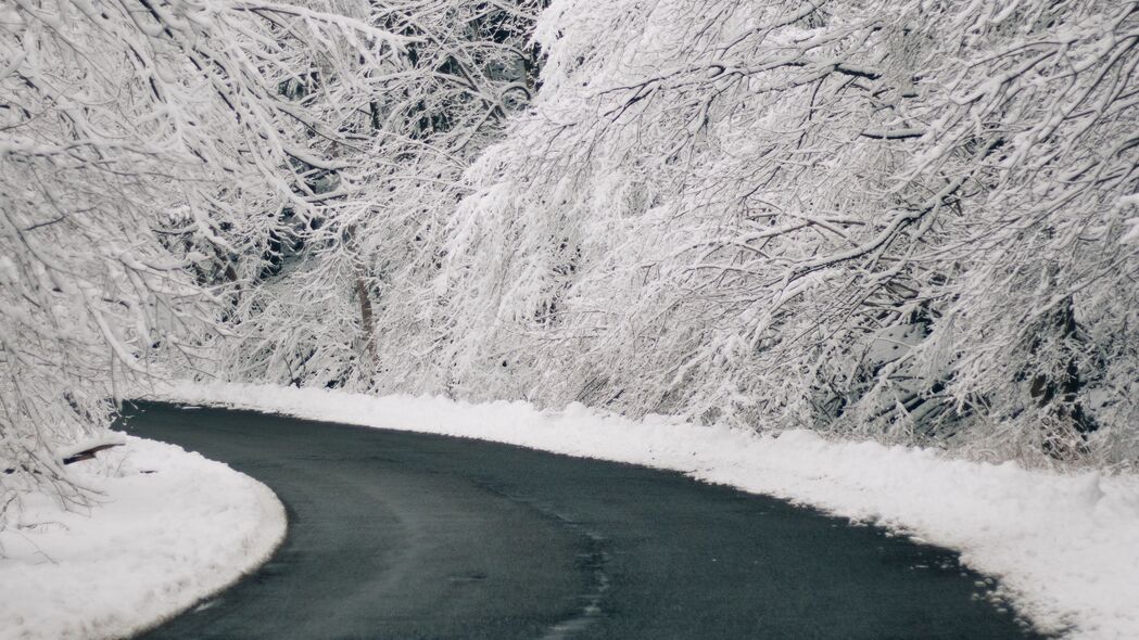路 转弯 雪 树 冬季 4k壁纸 3840x2160