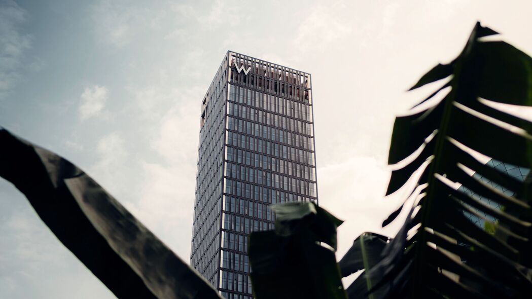 摩天大楼 建筑 棕榈树 树枝 4k壁纸 3840x2160