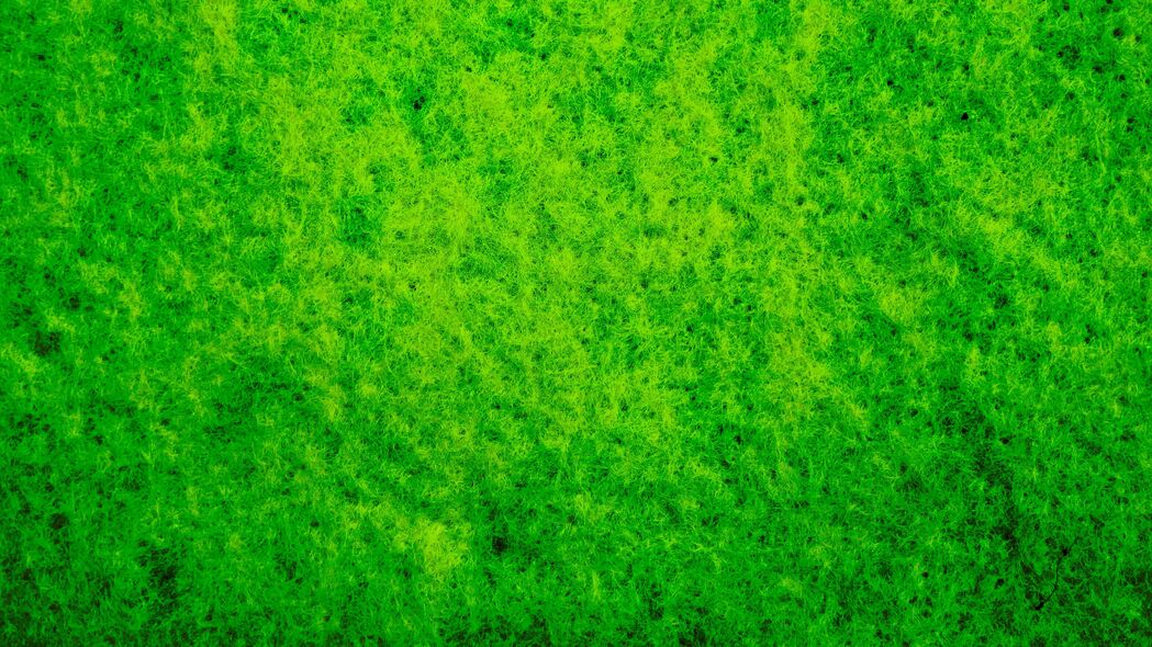 苔藓 宏 纹理 绿色 4k壁纸 3840x2160