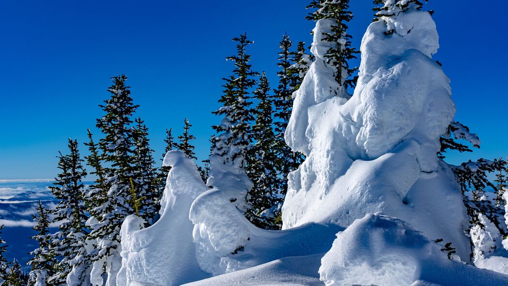 树 雪 雪堆 冬天 自然 4k壁纸 3840x2160