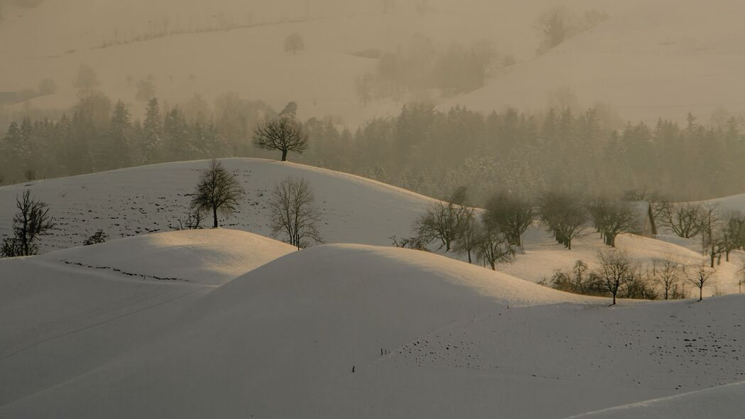 山丘 树木 雪 景观 冬季 4k壁纸 3840x2160