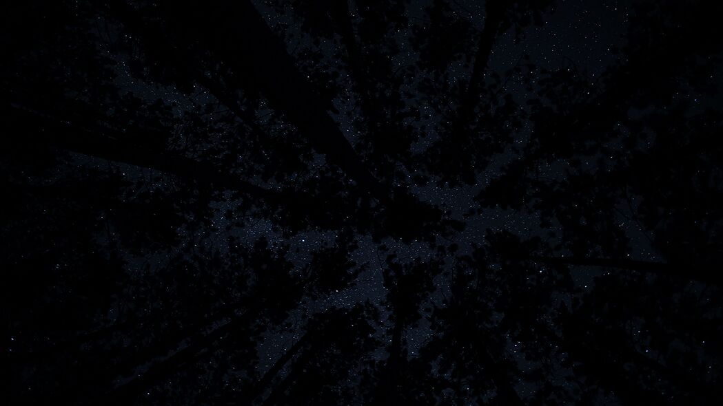 棵树 星空 黑暗 夜晚 4k壁纸 3840x2160