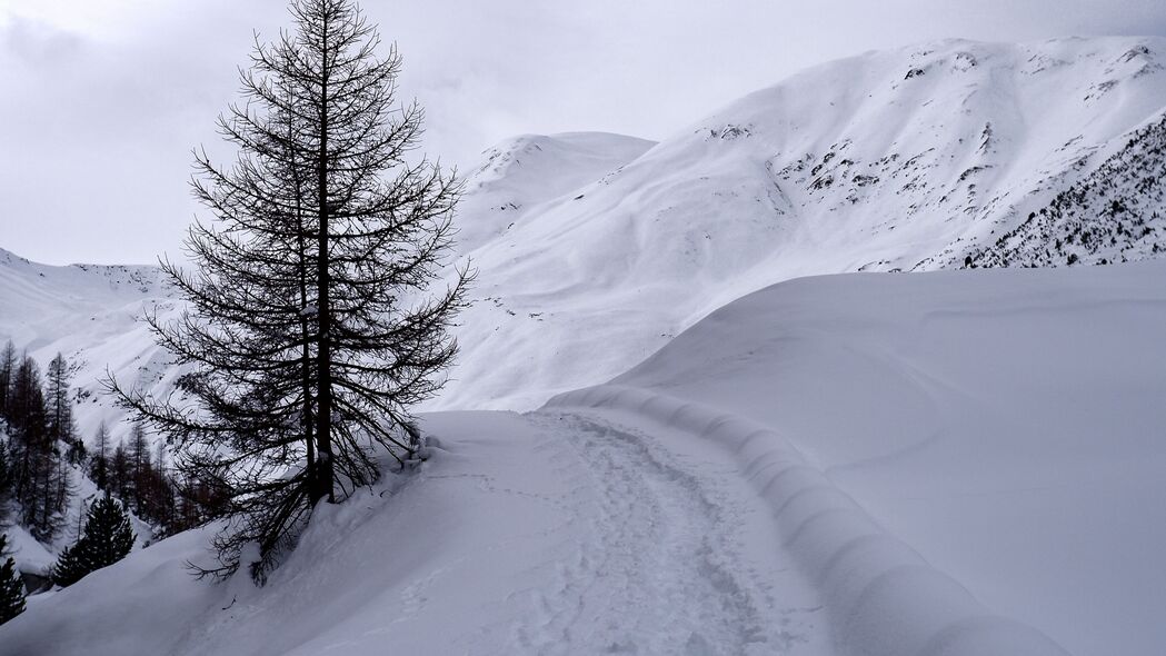 山脉 雪 路径 树 冬季 4k壁纸 3840x2160