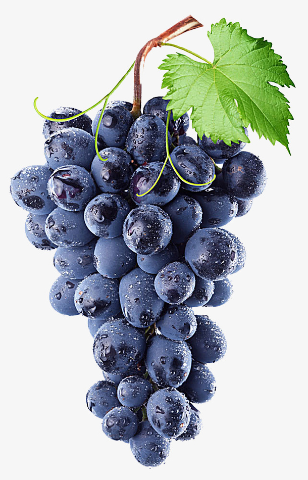 一串紫色美味的葡萄