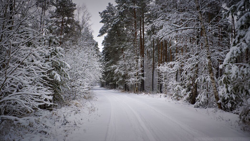 森林 道路 雪 冬天 雪地 4k壁纸 3840x2160
