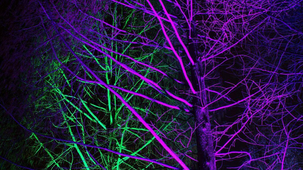 树 背光 霓虹灯 紫色 绿色 4k壁纸 3840x2160
