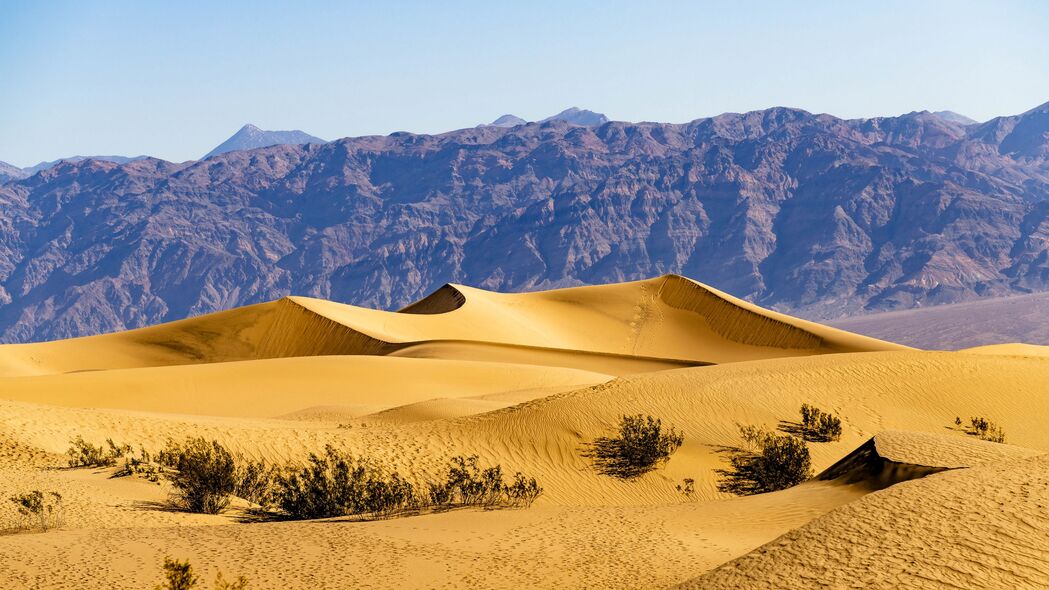 沙漠 沙丘 山脉 沙子 灌木 自然 4k壁纸 3840x2160