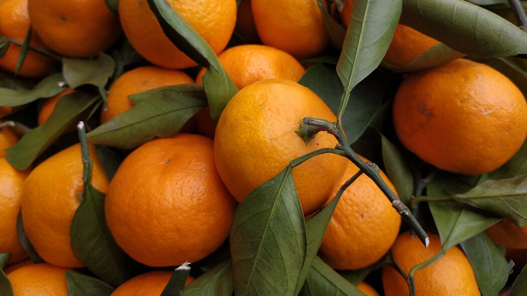 橘子 水果 叶子 柑橘 橙色 4k壁纸 3840x2160