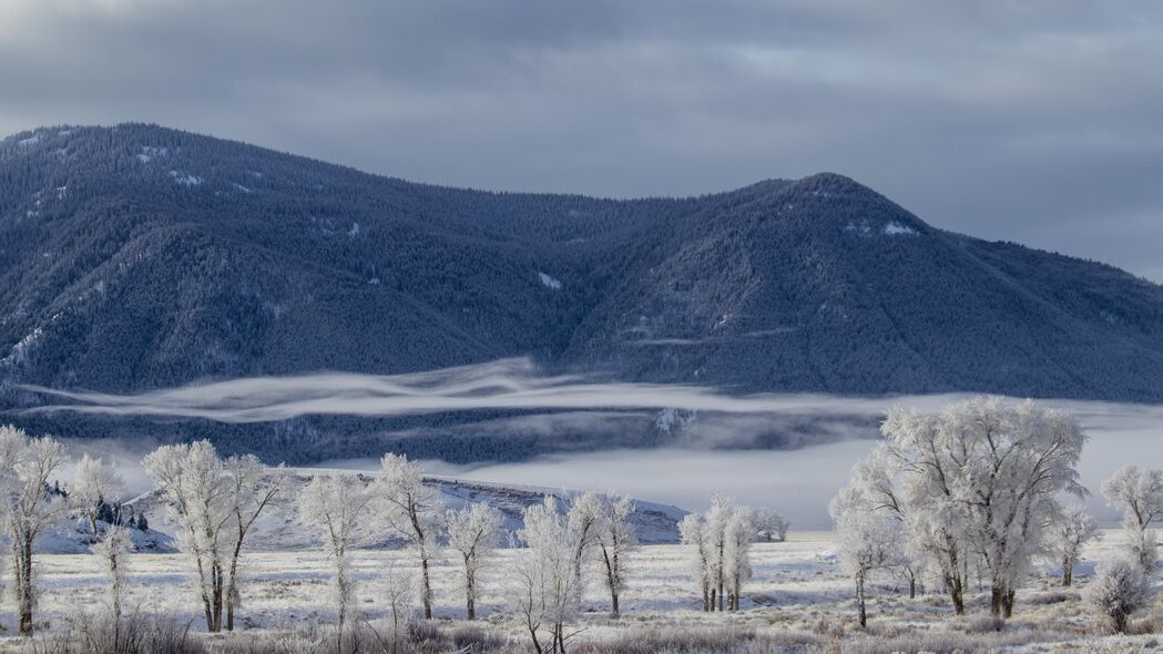 冬季山景，高清4K壁纸，雪覆树木，云绕峰巅，3840x2160极致享受，一键下载