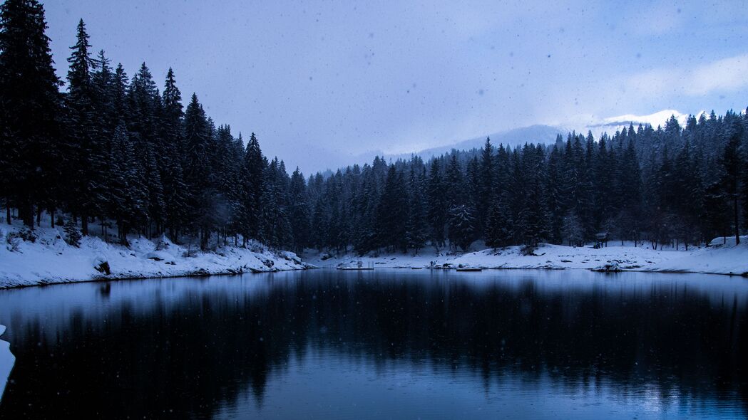 湖 雪 海岸 树木 冬季 4k壁纸 3840x2160