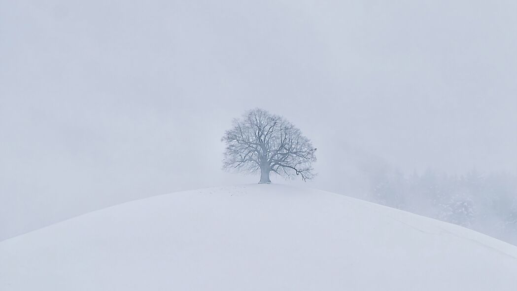 冬日山丘雪景，纯净白色4K高清壁纸（3840x2160）下载