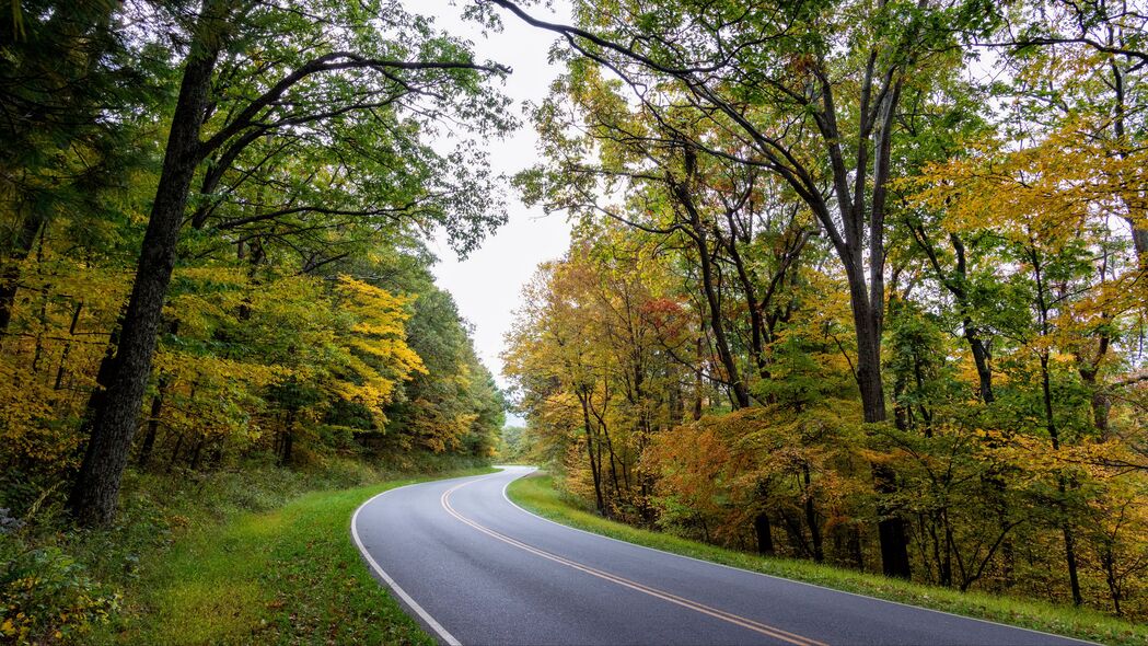 道路转弯，沥青与树木交织的自然美景，4K高清壁纸（3840x2160）免费下载