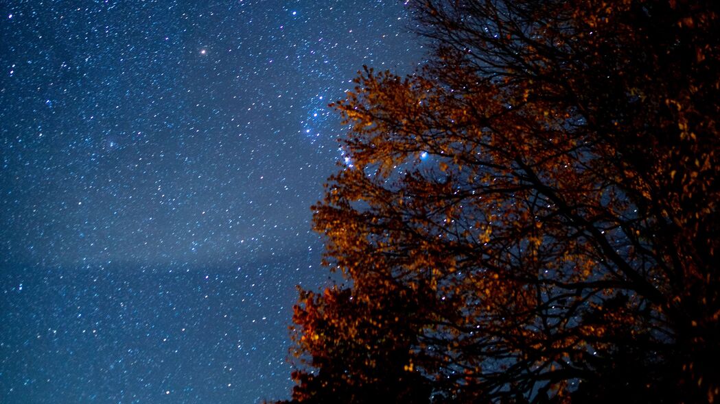 夜晚星空，神秘树影，高清4K壁纸，3840x2160超清体验，黑暗中的璀璨星星，一键下载绝美背景图片