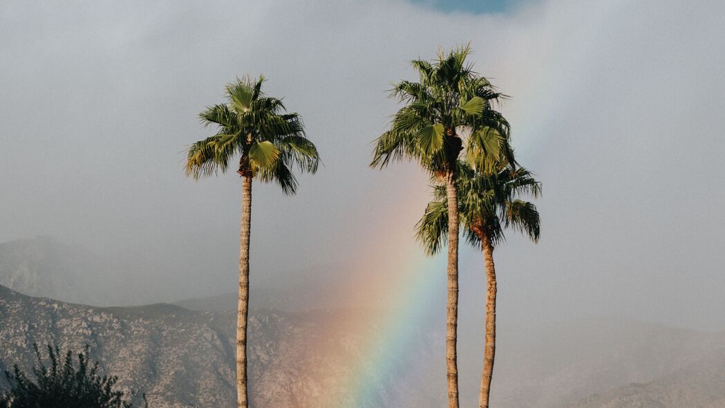 棕榈树 彩虹 云 山脉 风景 4k壁纸 3840x2160