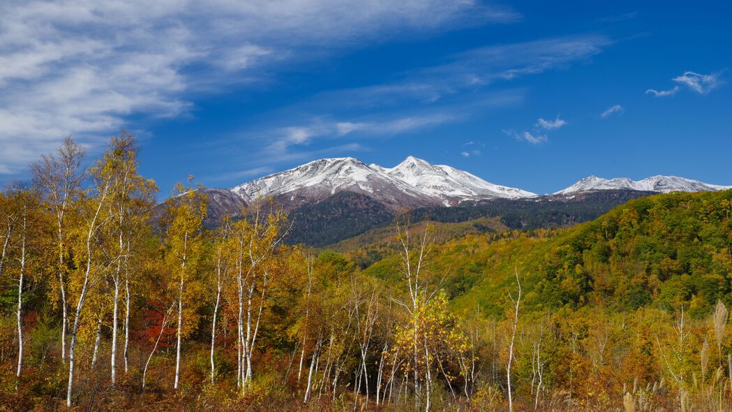 山峰森林美景，4K高清风景壁纸，3840x2160分辨率，畅享自然之美