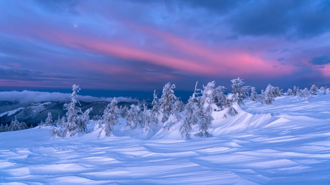 雪 树木 黄昏 冬天 风景 4k壁纸 3840x2160