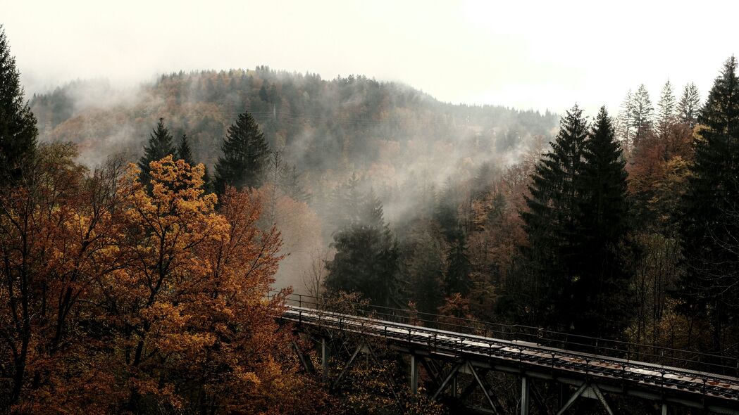 桥梁 森林 树木 雾 秋季 4k壁纸 3840x2160