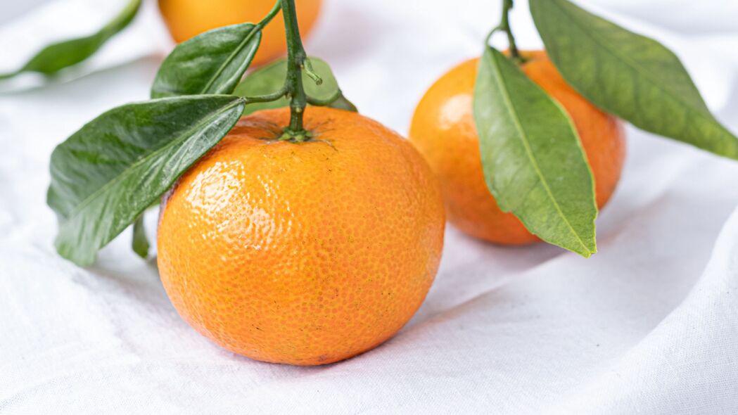 橘子 水果 柑橘 树叶 橙色 4k壁纸 3840x2160