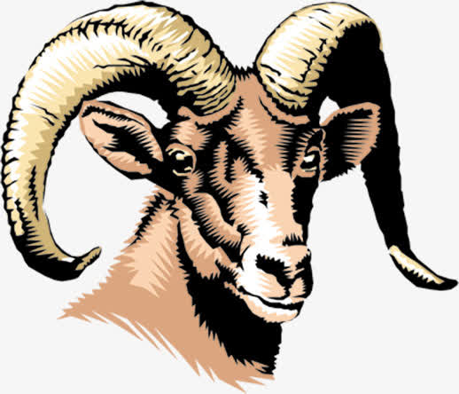 手绘羊头羊年素材
