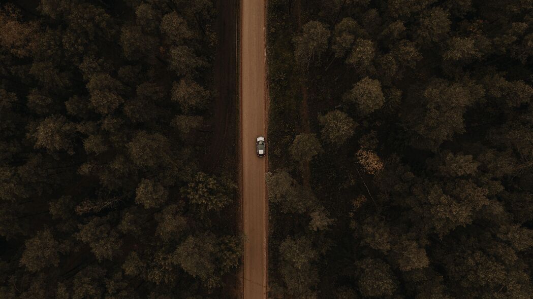 道路 鸟瞰图 树木 汽车 森林 4k壁纸 3840x2160