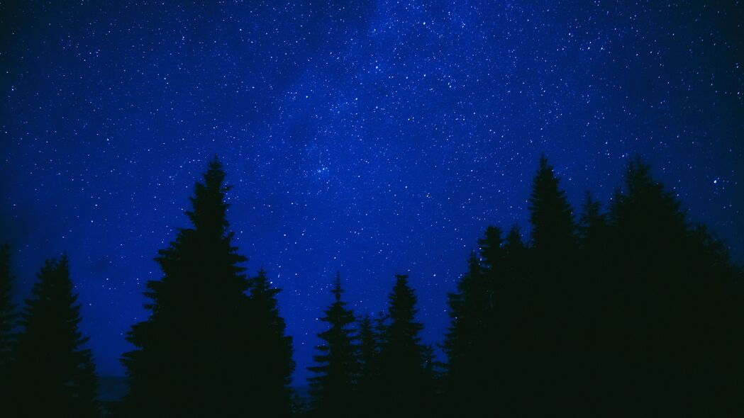 棵树 星空 夜晚 深色 蓝色 4k壁纸 3840x2160