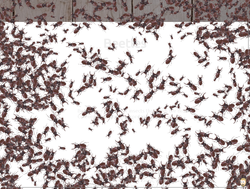 甲虫爬行动画制作，逼真网页图文混排案例