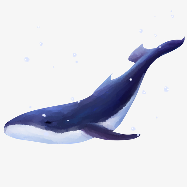 鲸鱼狐狸 png 透明 素材