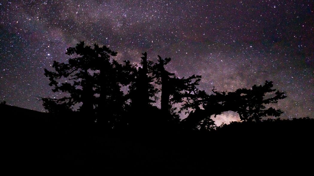 夜晚星空下的树枝，璀璨星星点缀4K高清壁纸，3840x2160超清背景图片免费下载