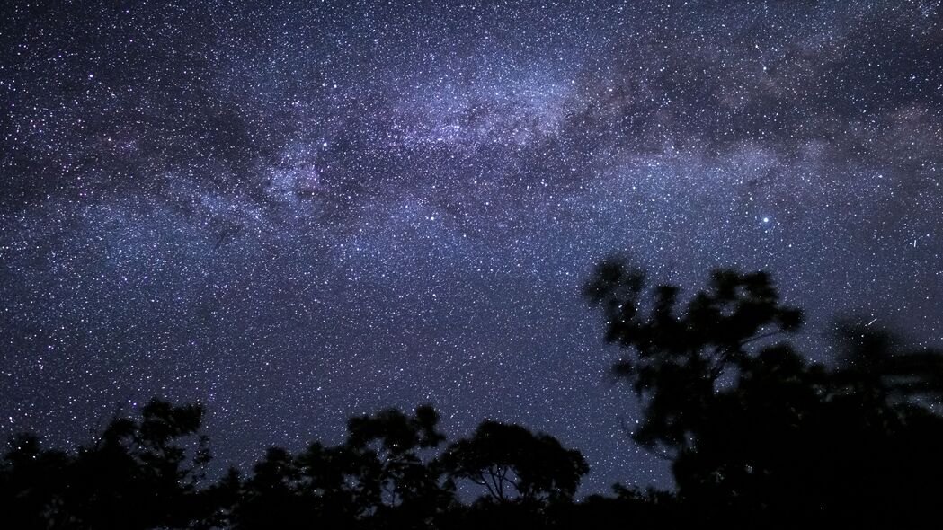 高清壁纸，夜晚星空剪影，树木映衬下的4K超高清壁纸（3840x2160）免费下载