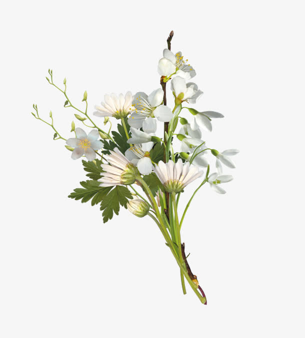 白色小菊花花束