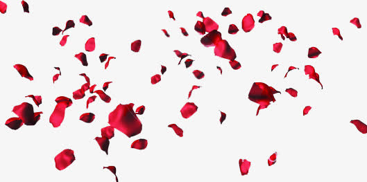 唯美红色花瓣飘落