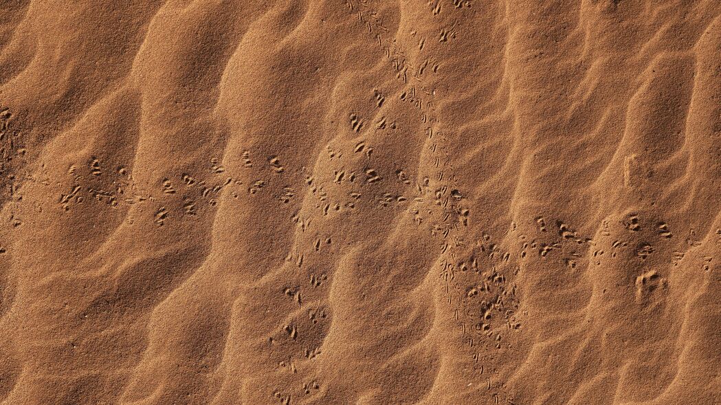 沙子 脚印 沙漠 纹理 4k壁纸 3840x2160