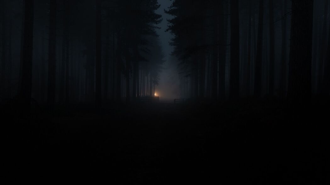 森林 雾 黑暗 昏暗 4k壁纸 3840x2160
