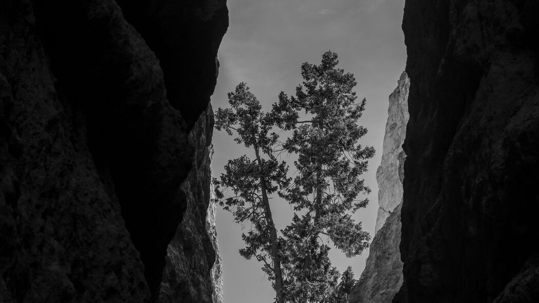 峡谷 岩石 树 bw 4k壁纸 3840x2160