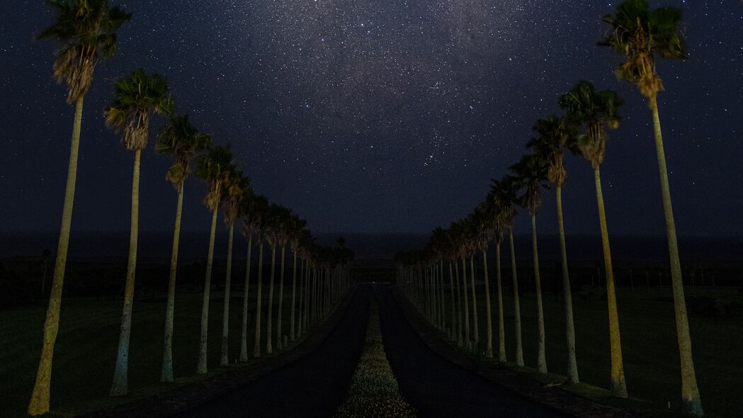 路 棕榈树 夜晚 星星 星空 4k壁纸 3840x2160