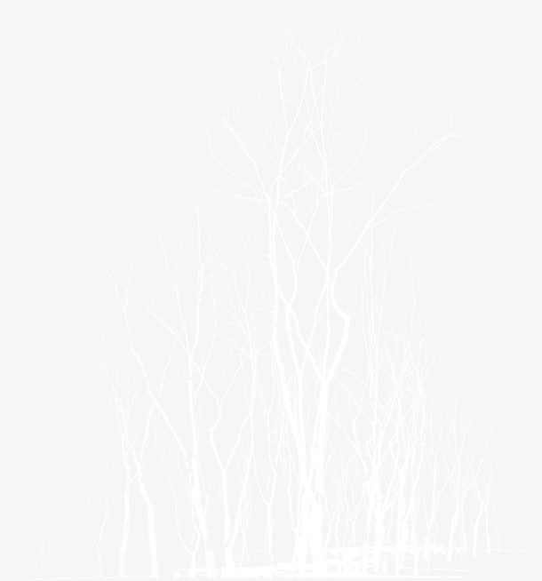 手绘白色线条冬季大树
