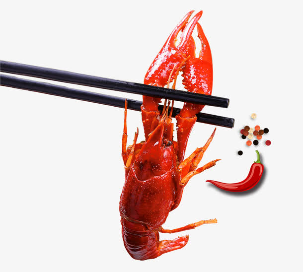 免抠筷子夹着红色小龙虾