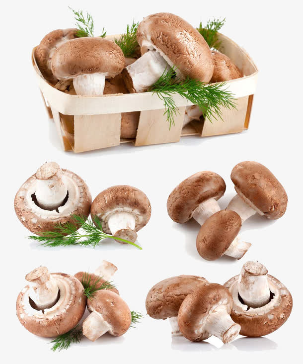 一盒蘑菇