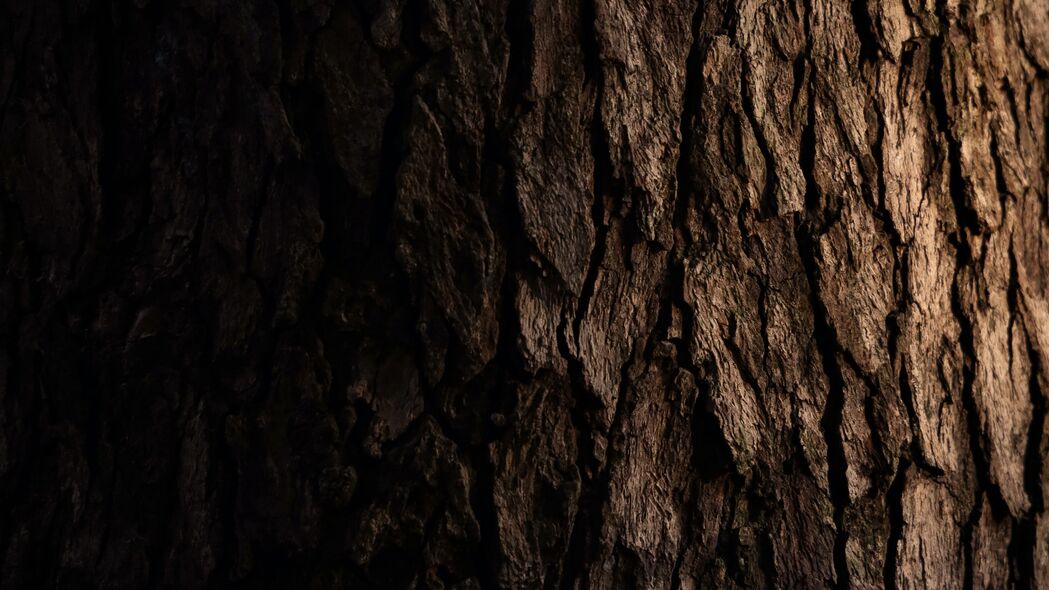 树皮 木头 树 深色 4k壁纸 3840x2160
