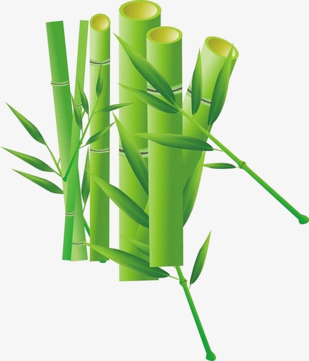 素描手绘竹子素材  精美竹子