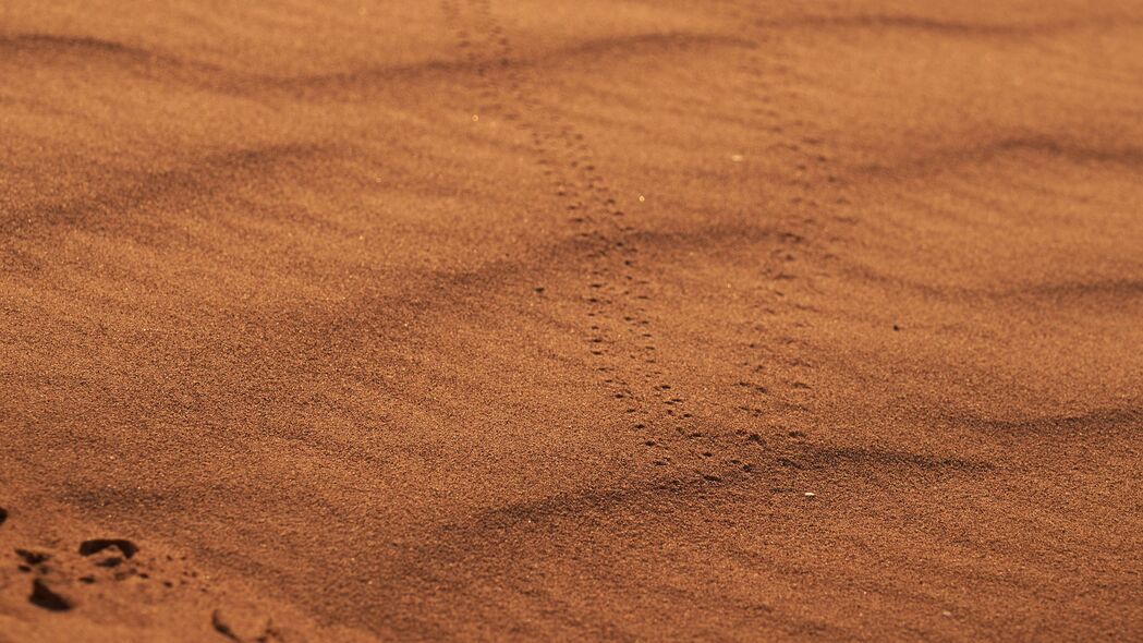 沙子 痕迹 沙漠 模糊 4k壁纸 3840x2160