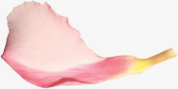 粉色艺术花瓣